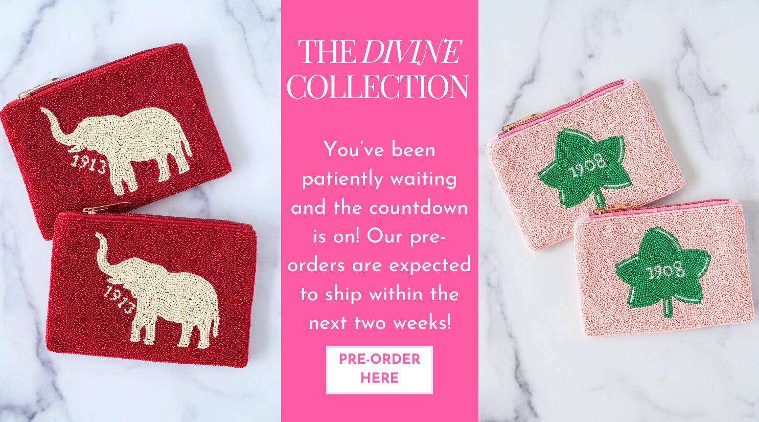 Pre-Order Our AKA & Delta Sigma Theta pouches!