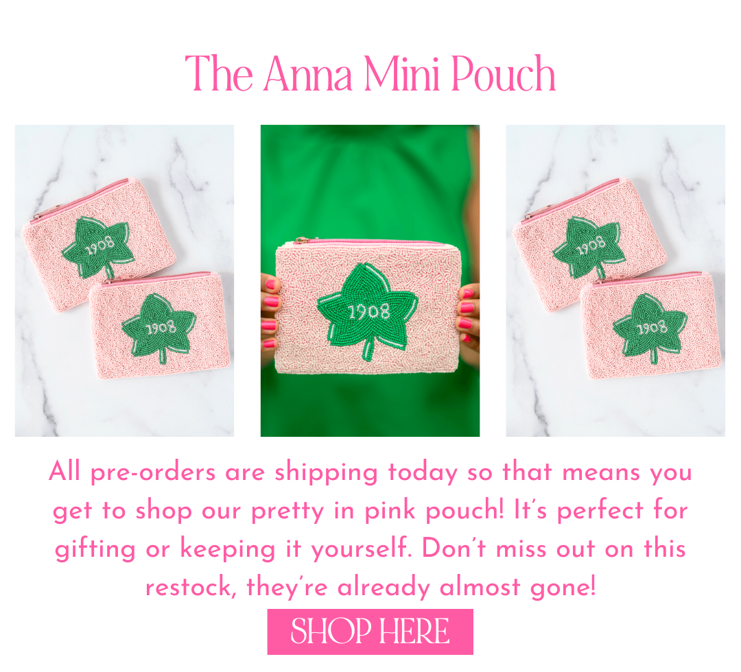 Shop our Alpha Kappa Alpha mini zip pouch